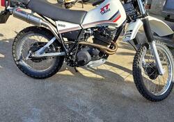 Yamaha XT 550 d'epoca