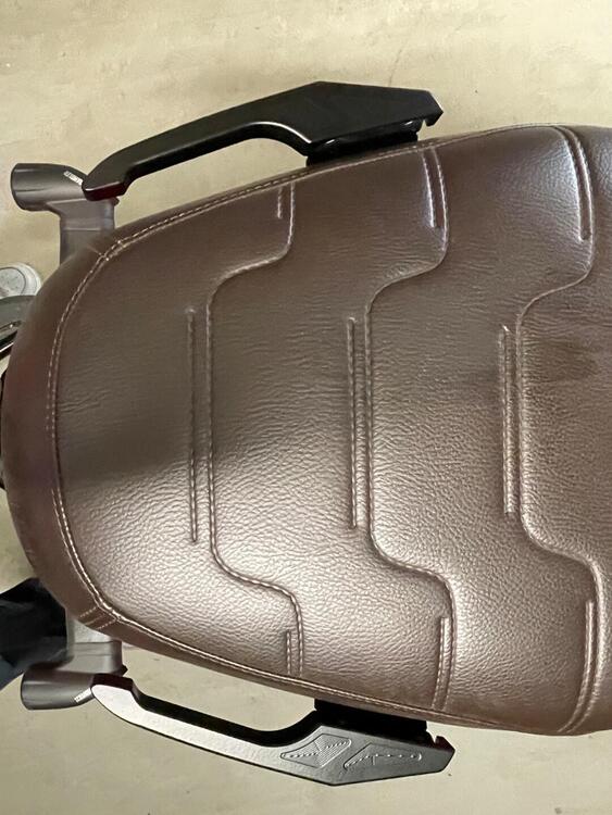 Ducati Scrambler 800 Nightshift (2023 - 25) (4)