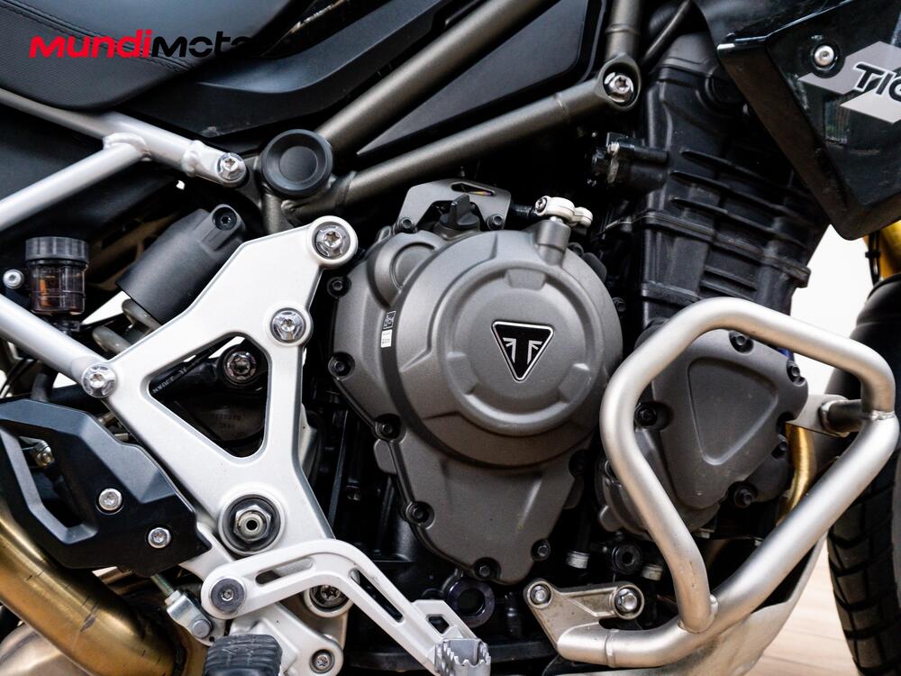 Triumph Tiger 1200 Rally Pro (2022 - 23) (4)