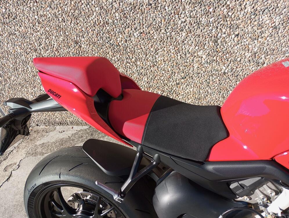 Ducati Streetfighter V4 S (2023 - 24) (5)