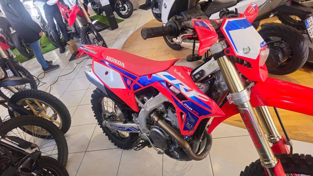 Honda CRF 250 RX Enduro Special (2024)