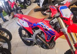 Honda CRF 250 RX Enduro Special (2024) usata