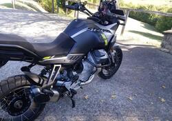 Moto Guzzi Stelvio (2024 - 25) usata