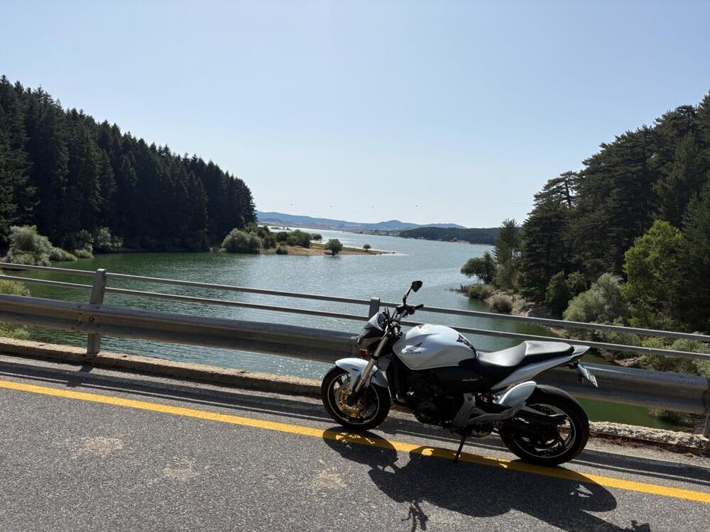 Honda Hornet 600 (2011 - 13)