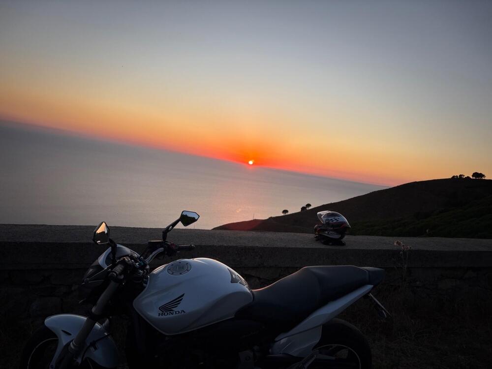 Honda Hornet 600 (2011 - 13) (2)