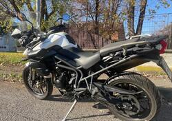 Triumph Tiger 800 ABS (2010 - 14) usata