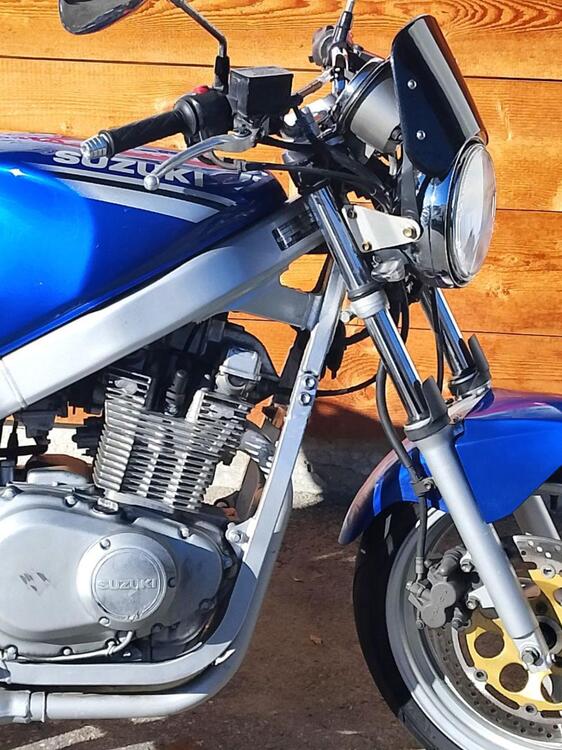 Suzuki GS 500 (2001 - 06) (5)