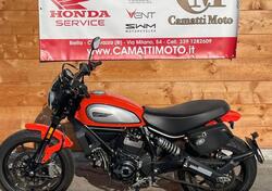 Ducati Scrambler 800 Icon (2017 - 20) usata