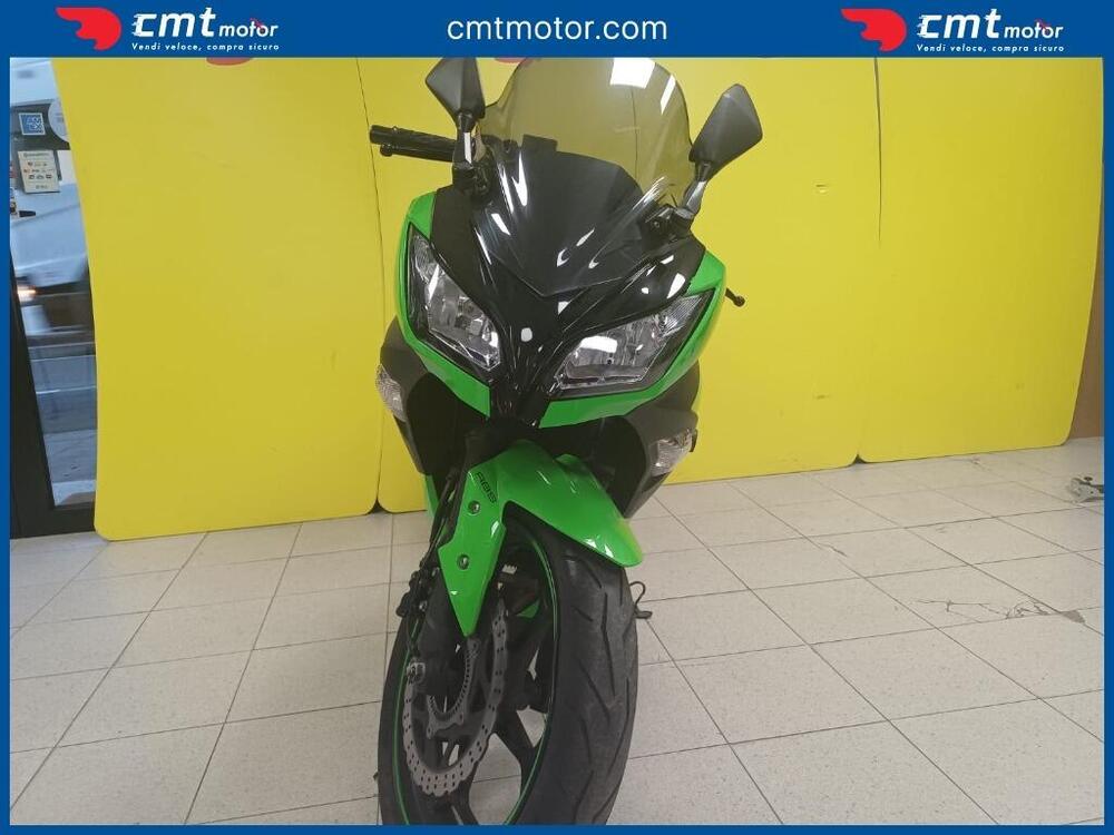 Kawasaki Ninja 300 ABS (2012 - 16) (2)