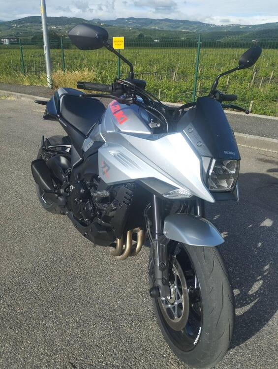 Suzuki Katana 1000 (2022 - 25) (2)