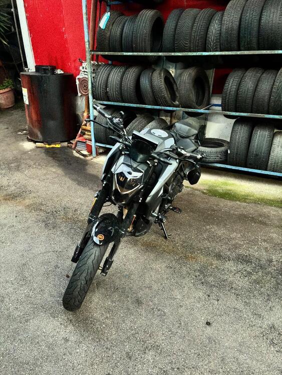 CFMOTO 300NK (2021 - 25) (3)