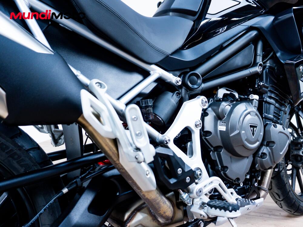 Triumph Tiger 1200 GT Pro (2024 - 25) (4)