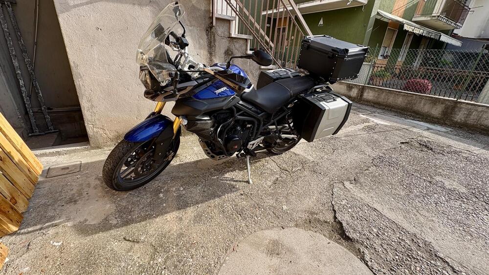 Triumph Tiger 800 ABS (2010 - 14) (5)