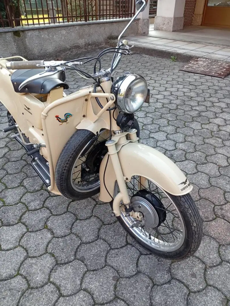 Moto Guzzi Galletto 160 (5)