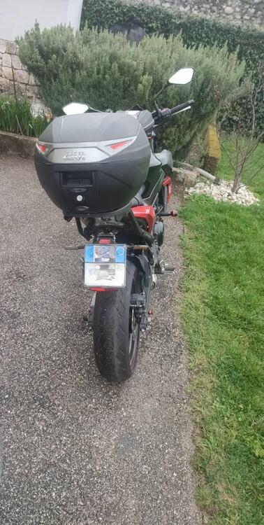 Kawasaki Z 650 (2020) (4)