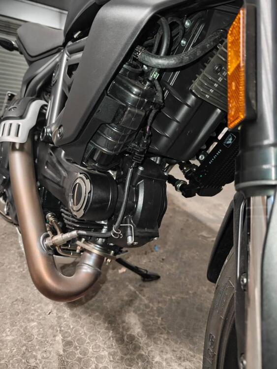 Ducati Scrambler 800 Icon Dark (2025) (5)