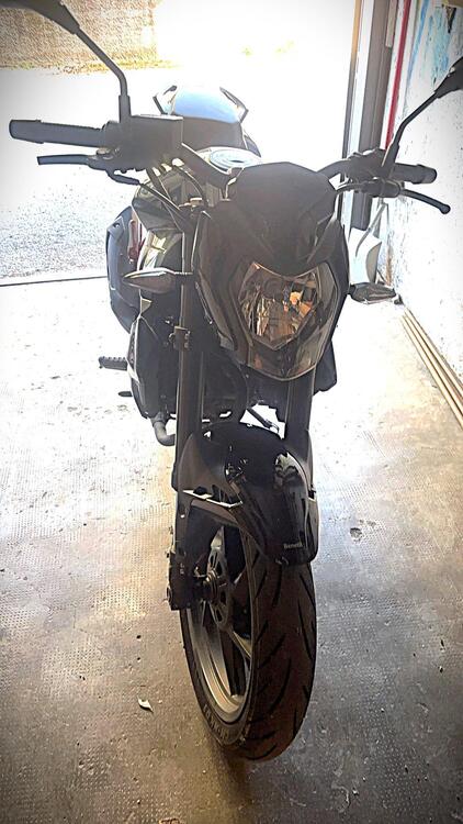 Benelli BN 125 (2021 - 25) (4)