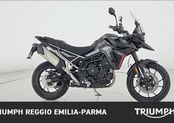 Triumph Tiger 900 GT Pro (2024 - 25) usata