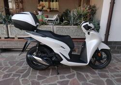 Honda SH 150i Sport (2024 - 25) usata