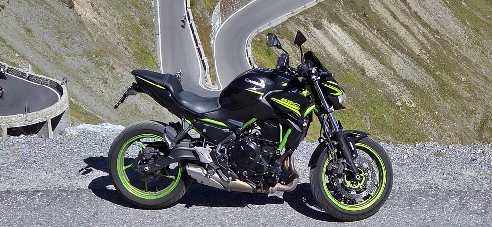 Kawasaki Z 650 (2021 - 24)