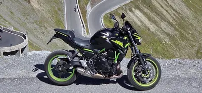 Kawasaki Z 650 (2021 - 24) usata