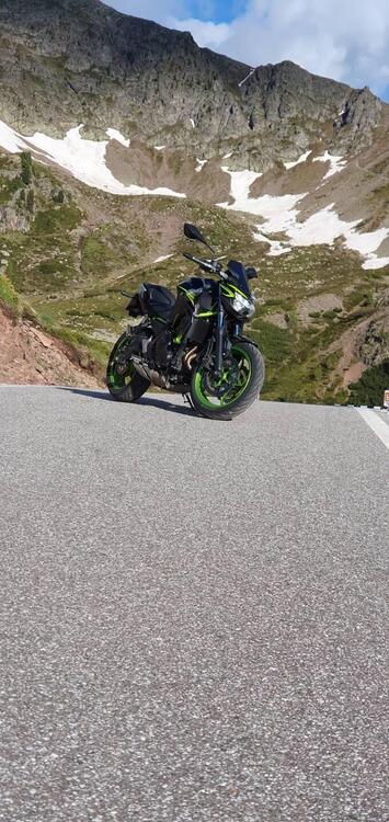 Kawasaki Z 650 (2021 - 24) (2)