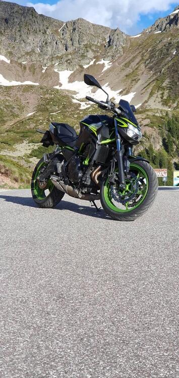 Kawasaki Z 650 (2021 - 24) (4)