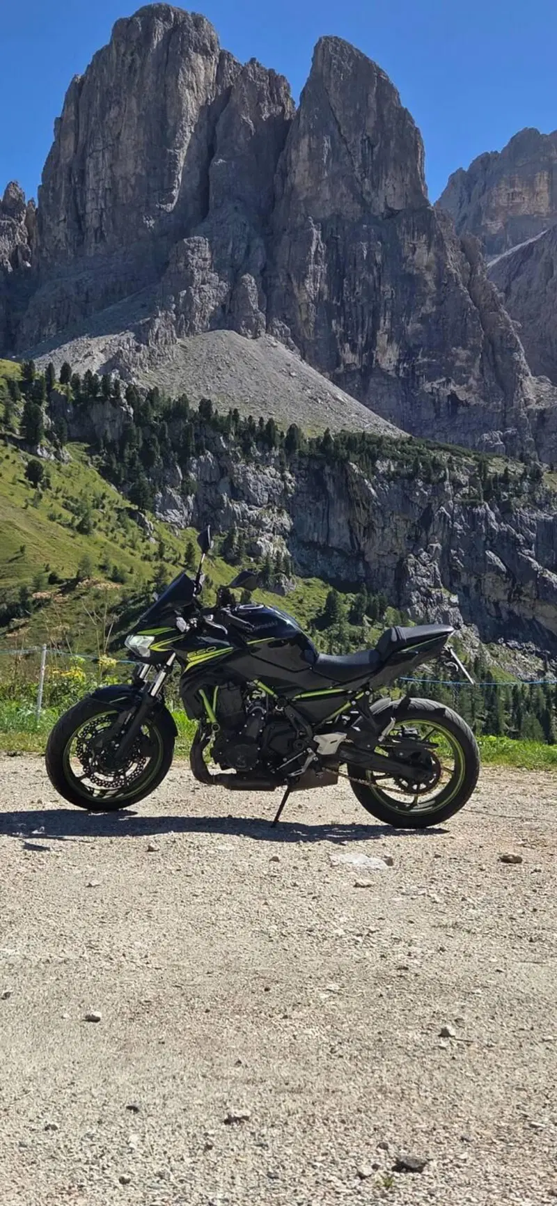 Kawasaki Z 650 (2021 - 24) (10)