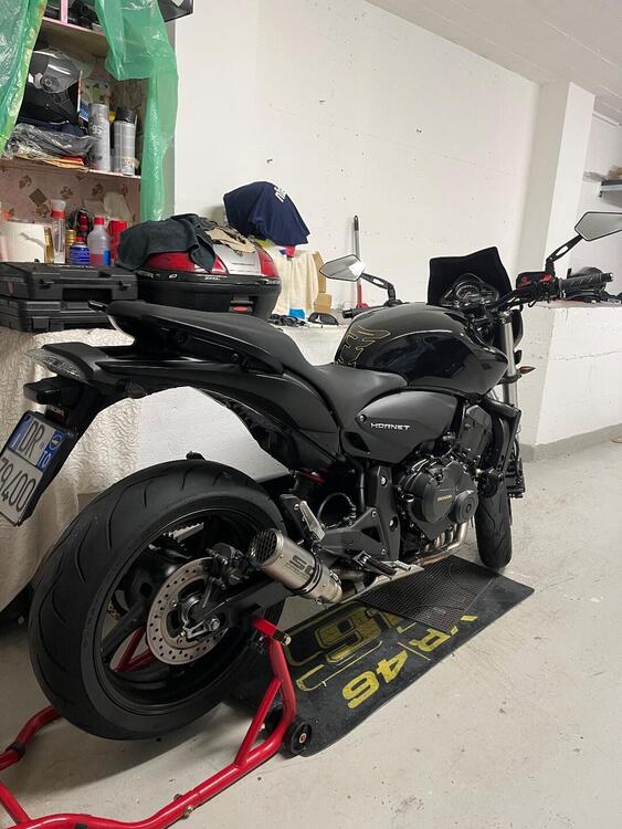 Honda Hornet 600 (2011 - 13) (2)