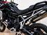 Triumph Tiger 900 Rally Pro (2024 - 25) (10)