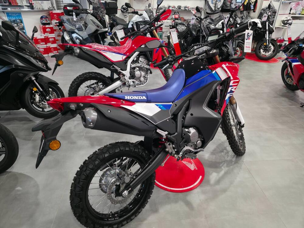 Honda CRF 300 Rally (2025) (3)