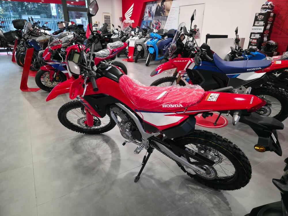 Honda CRF 300 L (2025) (3)