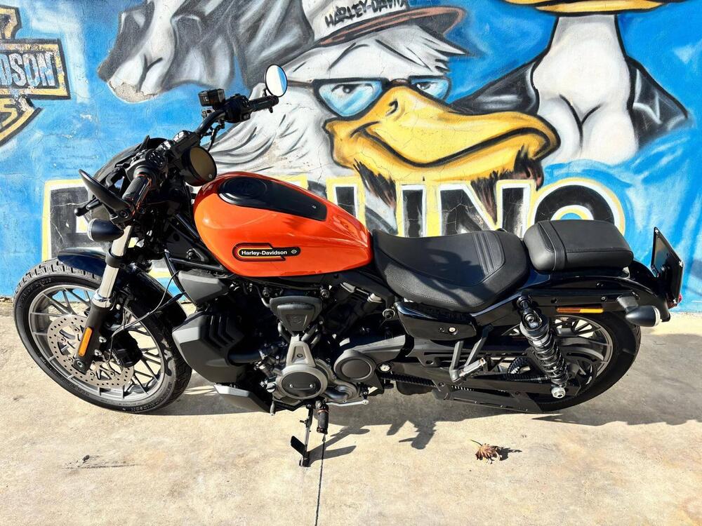 Harley-Davidson Nightster Special (2023 - 25)