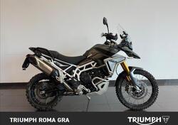 Triumph Tiger 900 Rally Pro (2024 - 25) usata