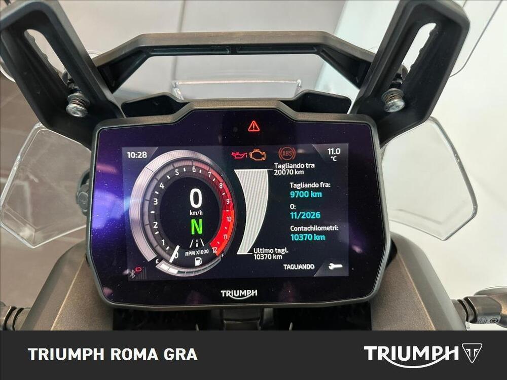 Triumph Tiger 900 Rally Pro (2024 - 25) (4)