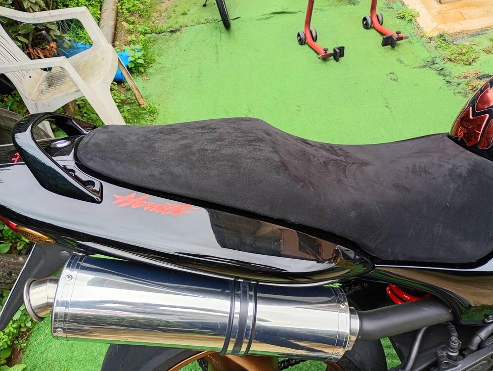 Honda Hornet 600 (2000 - 02) (5)