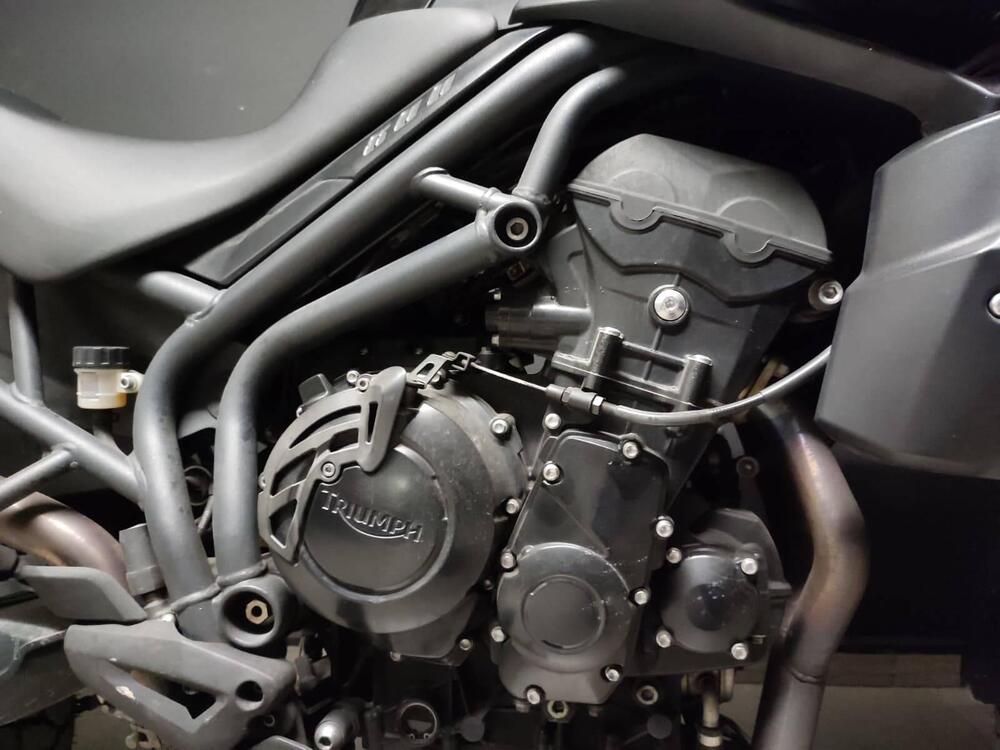 Triumph Tiger 800 XC (2011 - 12) (4)