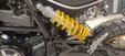 Ducati Scrambler 800 Desert Sled (2017 - 20) (6)