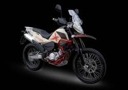 Swm Superdual 600 X (2025 - 26) nuova