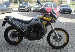 Voge 300 GY Rally (2022) usata