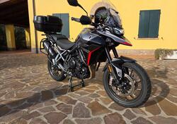 Triumph Tiger 900 GT Pro (2024 - 25) usata