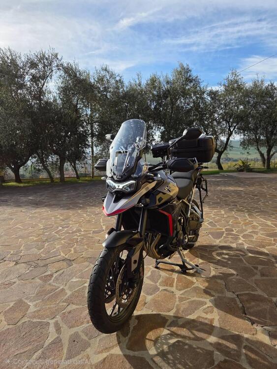 Triumph Tiger 900 GT Pro (2024 - 25) (5)