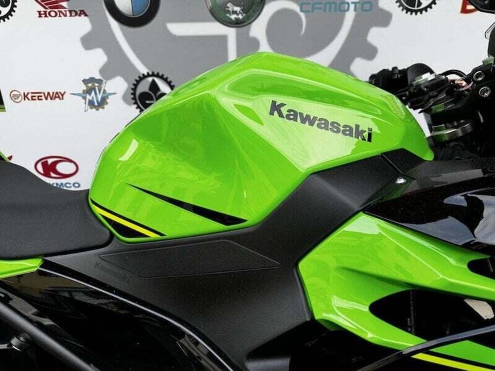 Kawasaki Ninja 400 (2018 - 20) (5)