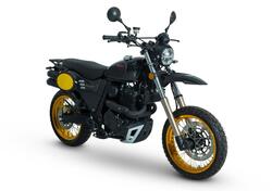 Swm Silver Vase 650 (2025 - 26) nuova