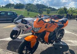 Kawasaki Z 750 (2007 - 14) usata