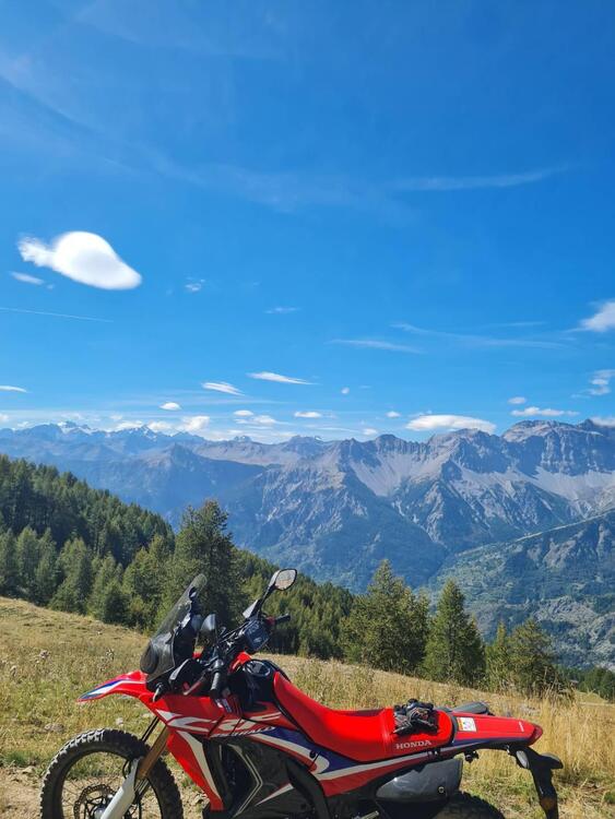 Honda CRF 250 Rally (2017 - 20) (5)