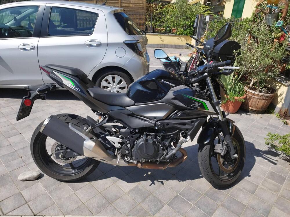 Kawasaki Z 500 (2024 - 26)
