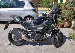 Kawasaki Z 500 (2024 - 26) usata