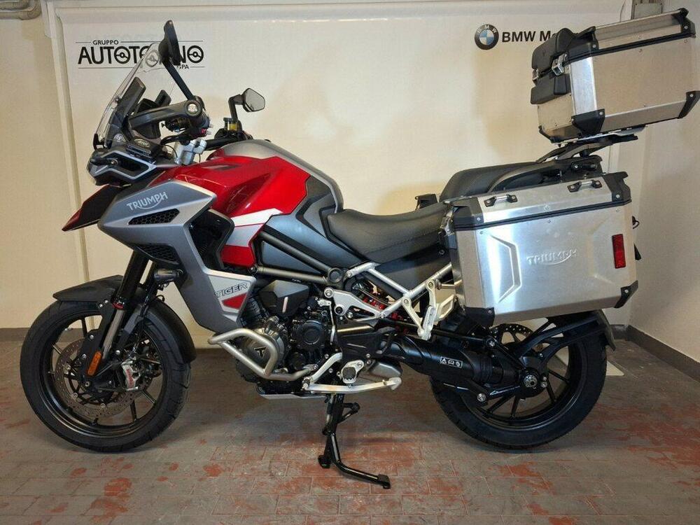 Triumph Tiger 1200 GT Explorer (2024 - 25) (4)