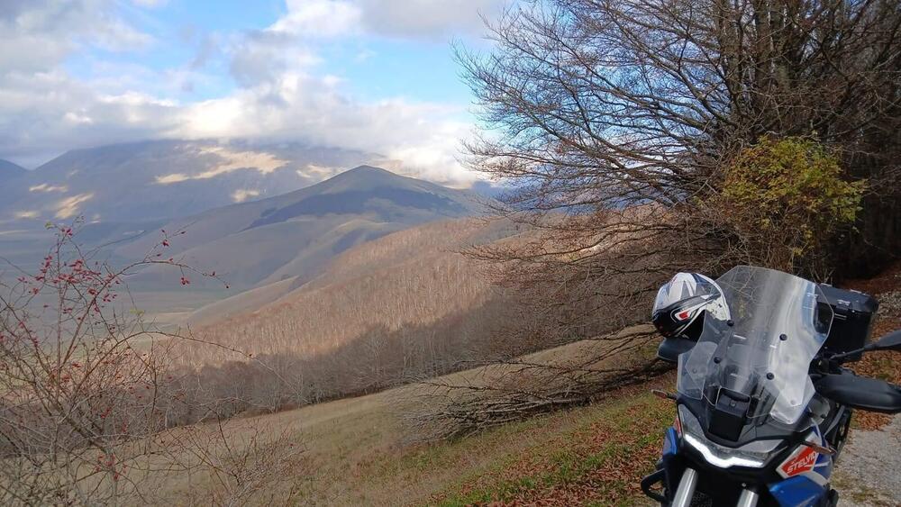 Moto Guzzi Stelvio Duecento Tributo (2025) (2)